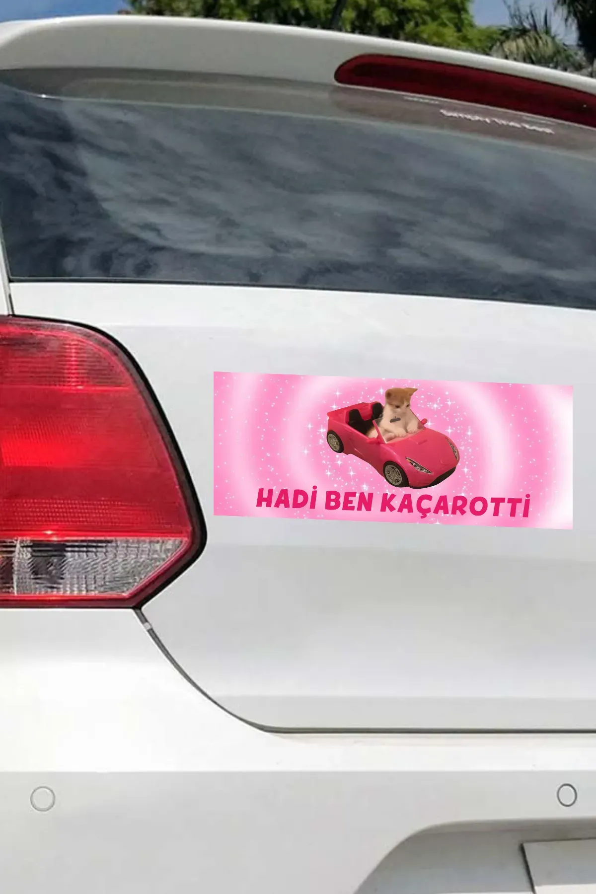 Hadi Ben Kaçarotti Araba Magneti