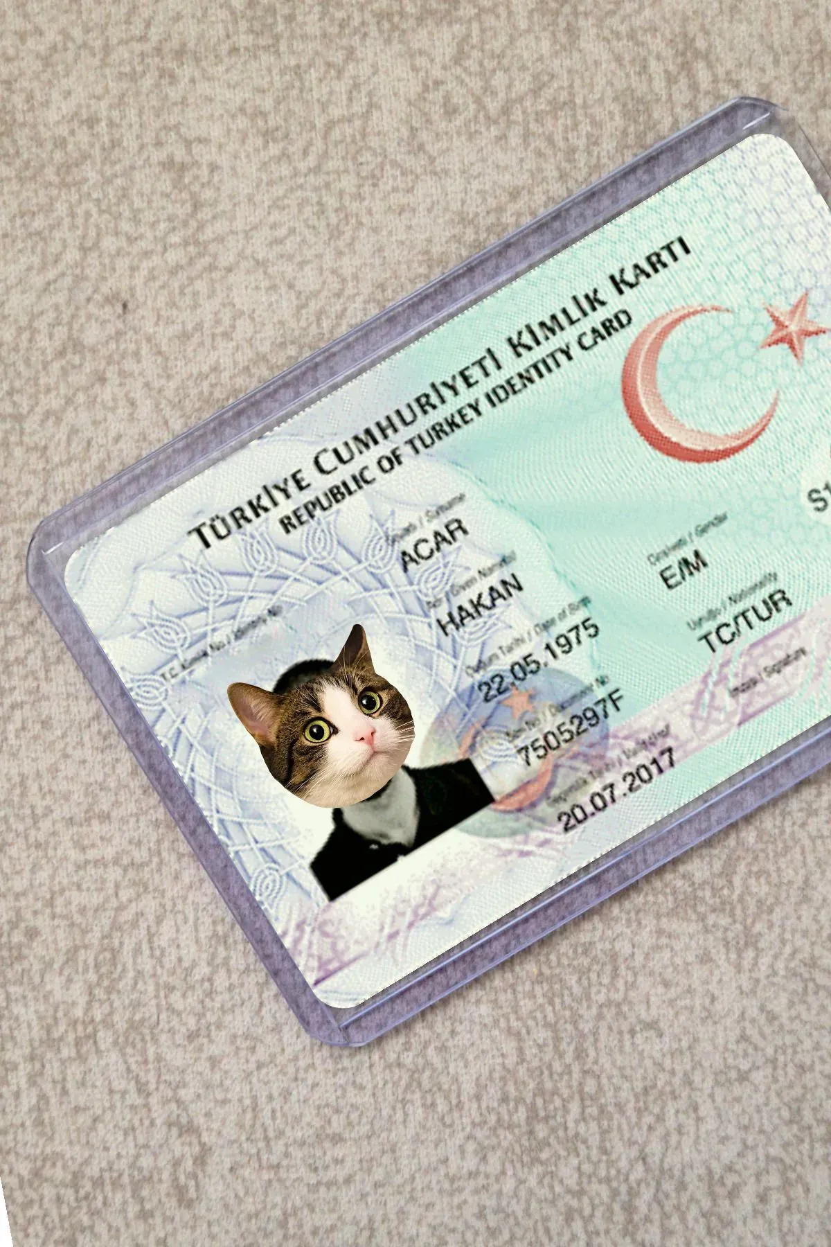 Kedi Şeffaf Kimlik Kılıfı - Ehliyet, Nufüs Cüzdanı, Okul Kartı, Akbil Kılıfı
